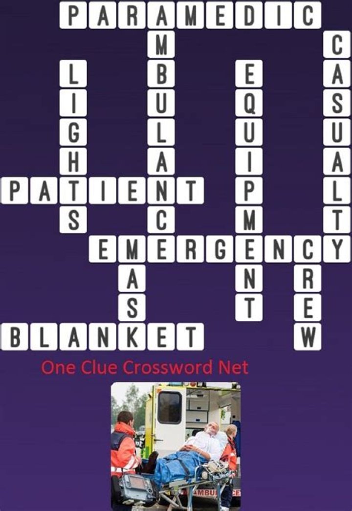 Ambulance workers, in brief Crossword Clue