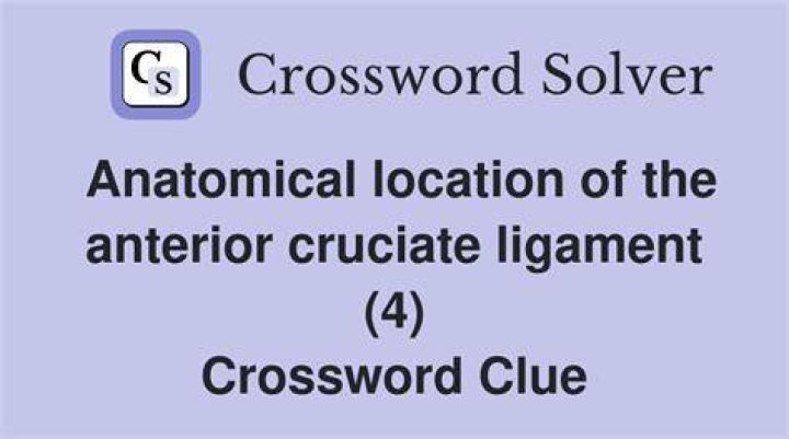 Anatomical canal locale Crossword Clue