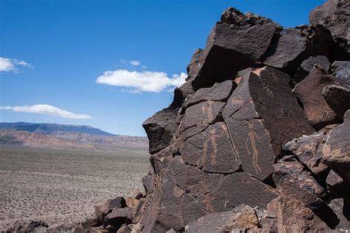 Annual mass event in Nevada’s Black Rock Desert Crossword Clue