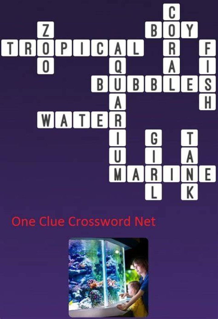 Aquarium accessory Crossword Clue