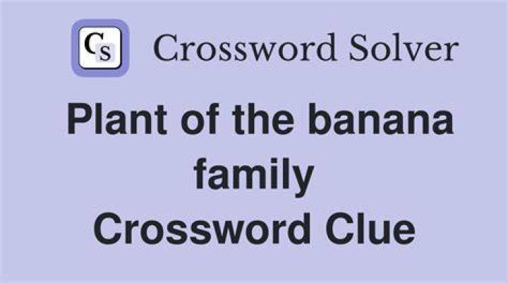 Banana skin Crossword Clue