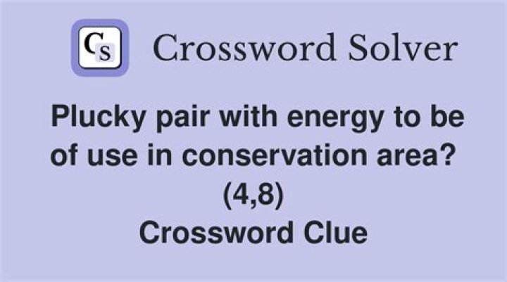 Be plucky? Crossword Clue