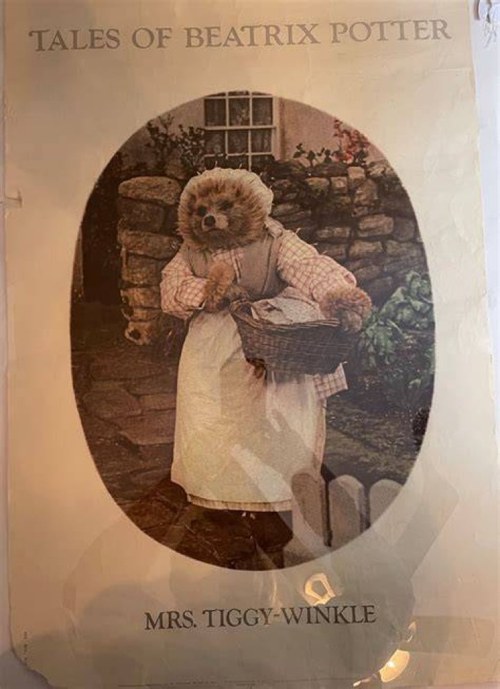 Beatrix Potter’s Mrs. Tiggy-winkle, for one Crossword Clue