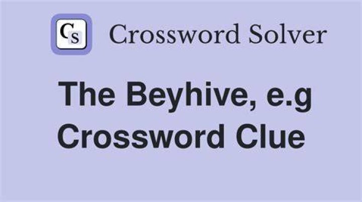 Beliebers or the Beyhive, for instance Crossword Clue