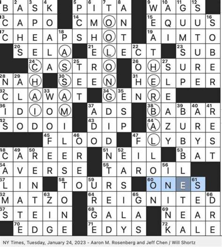 Beverage mixed with tapioca pearls … or a description of this puzzle’s circled letters? Crossword Clue