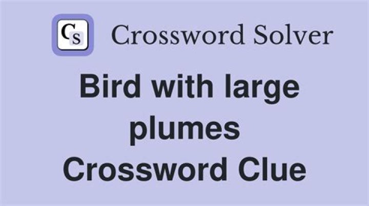 Bird known for its plumes Crossword Clue