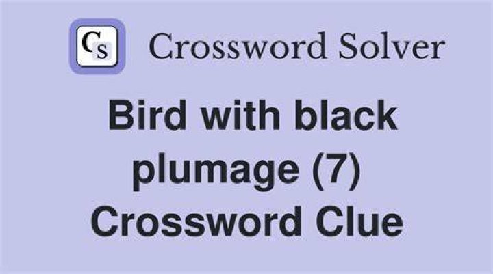 Black bird Crossword Clue