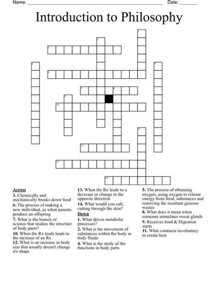 Branch of philosophy Crossword Clue