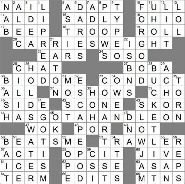 Bulldozed Crossword Clue