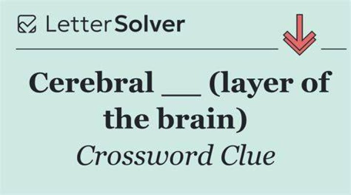 Cerebral Crossword Clue