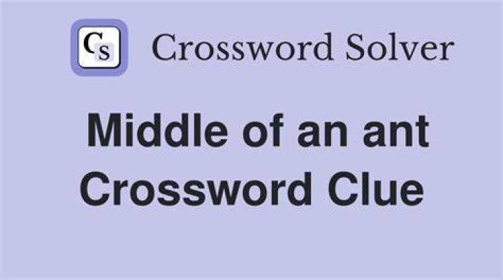 Certain ant Crossword Clue