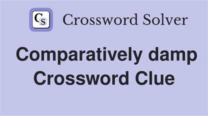 Comparatively neat Crossword Clue