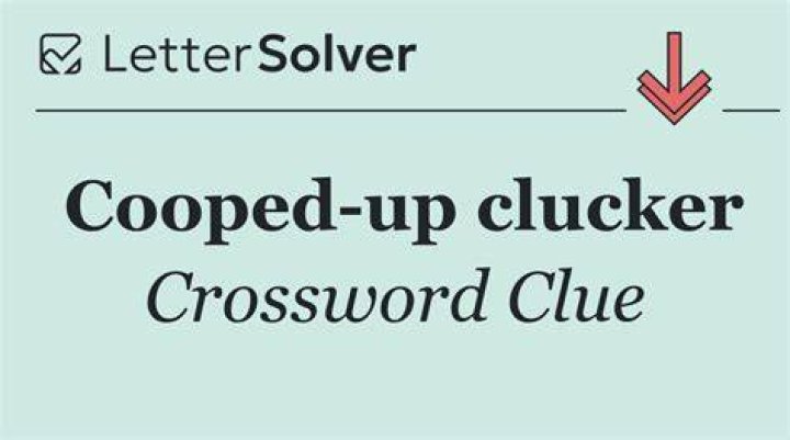 Cooped up like pigs Crossword Clue