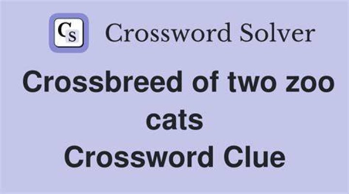 Crossbreed Crossword Clue