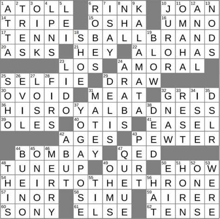 Deseret News reader, typically Crossword Clue