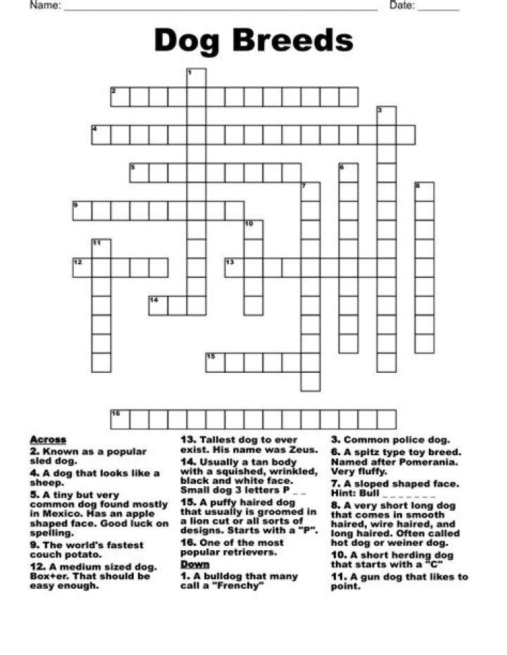 Dog with wrinkly skin Crossword Clue