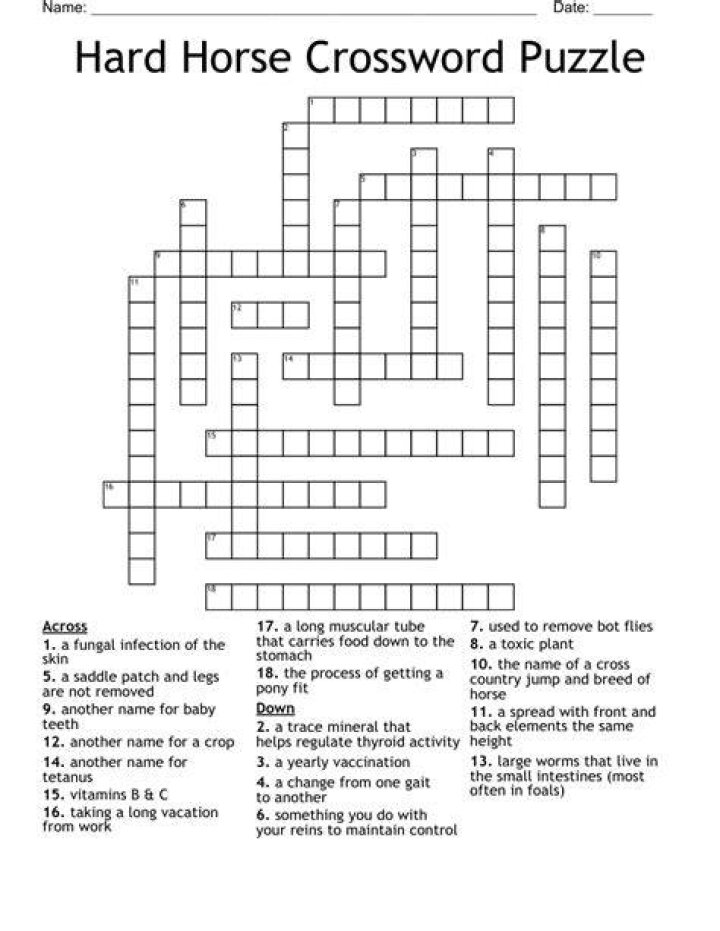 Equestrian’s “Stop!” Crossword Clue