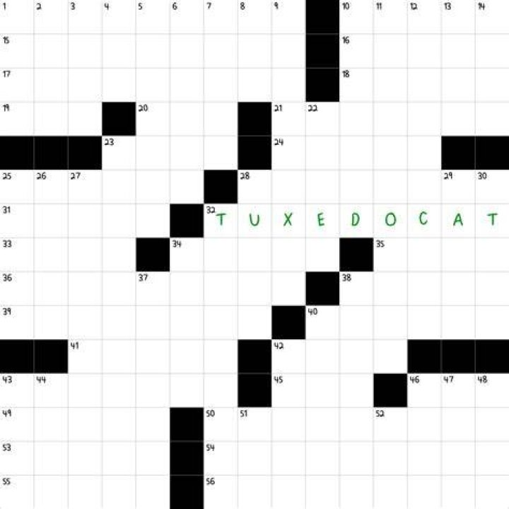 Fancy fur Crossword Clue