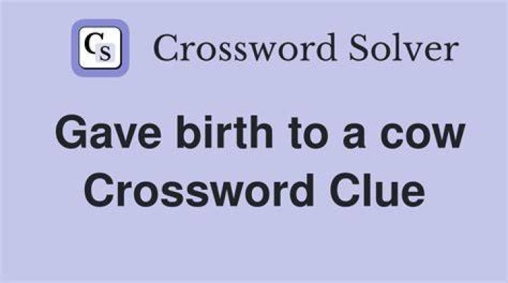 Foal : mare :: ___ : cow Crossword Clue