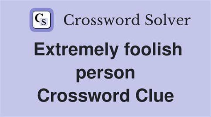 Foolish person Crossword Clue