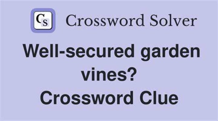 Framework for vines Crossword Clue