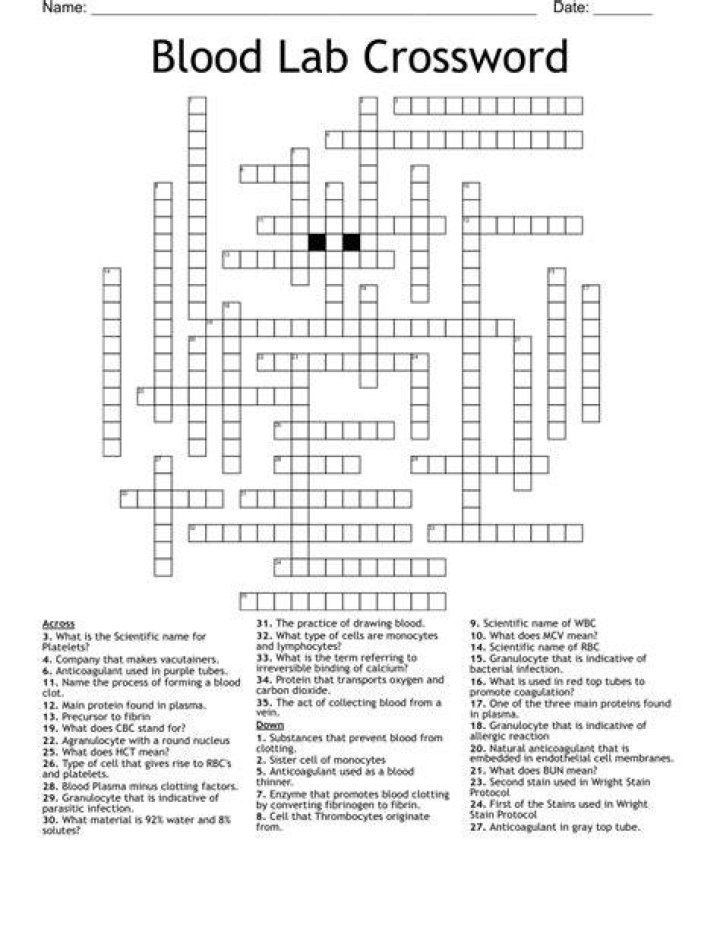 Fresh blood Crossword Clue