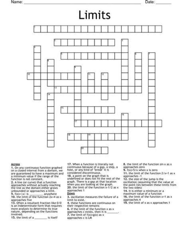 Function with no limits? Crossword Clue