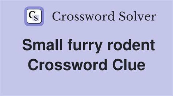 Furry little pest Crossword Clue
