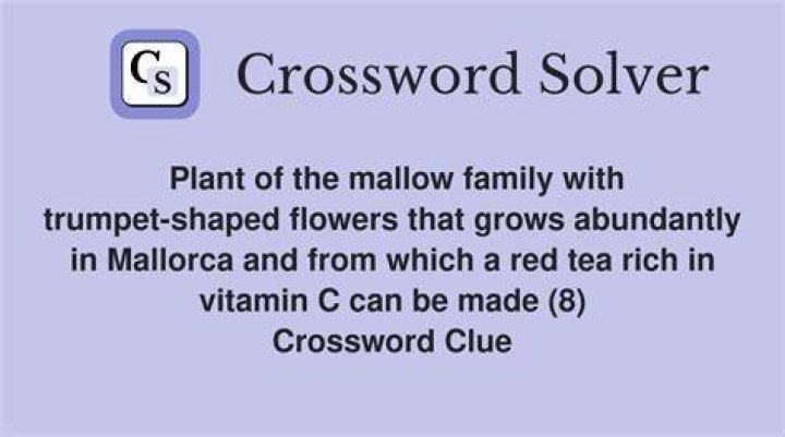 Garden plant in the mallow family Crossword Clue