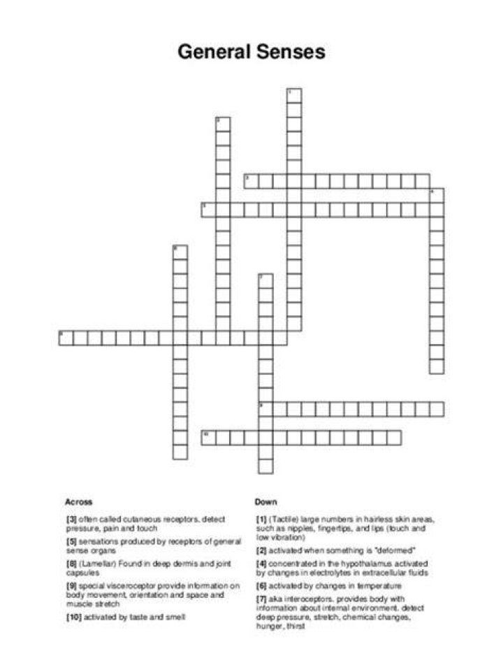 General senses Crossword Clue
