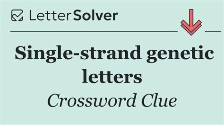 Genetic strand Crossword Clue