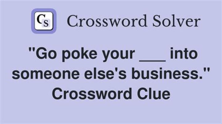 Go (into) Crossword Clue