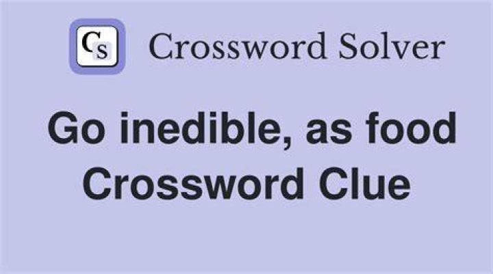 Go searching for food Crossword Clue