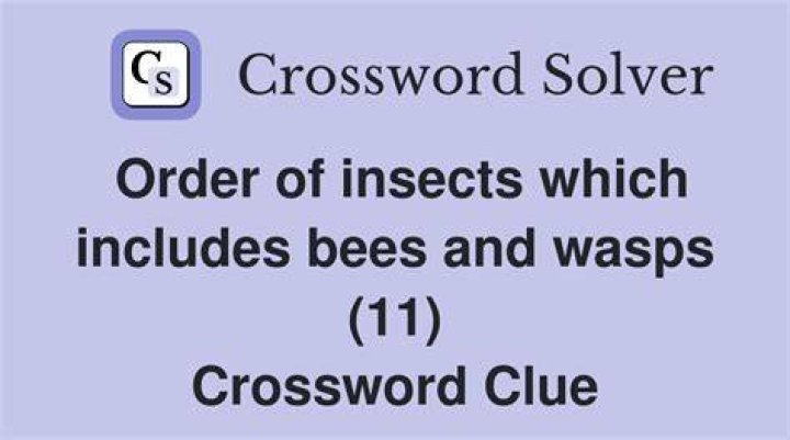 Groups of bees? Crossword Clue