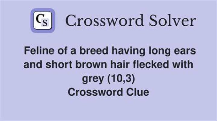 Having perked-up ears Crossword Clue
