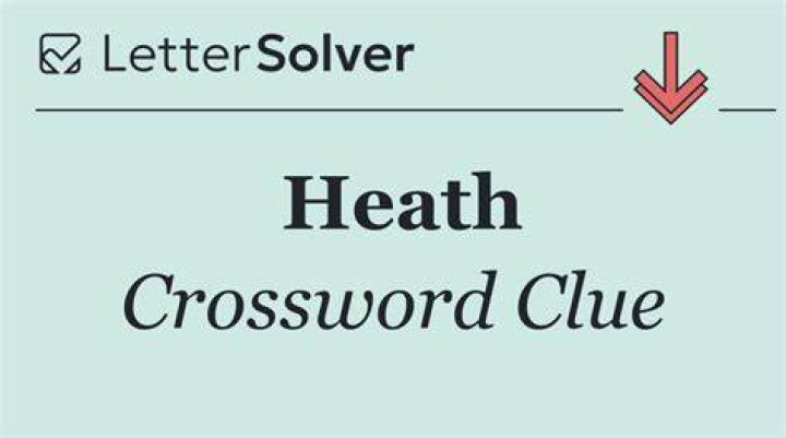 Heath Crossword Clue