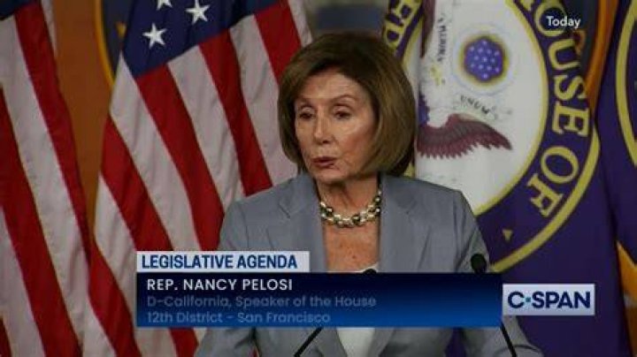 House speaker before Pelosi Crossword Clue