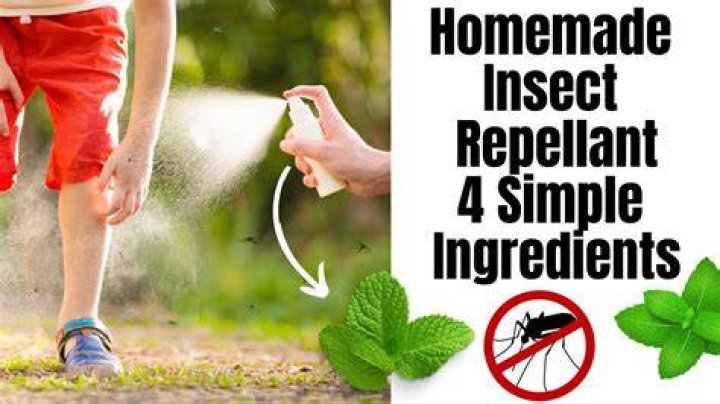Ingredient in insect repellent Crossword Clue