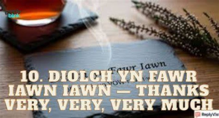 Language in which “Thank you very much” is “Diolch yn fawr iawn” Crossword Clue