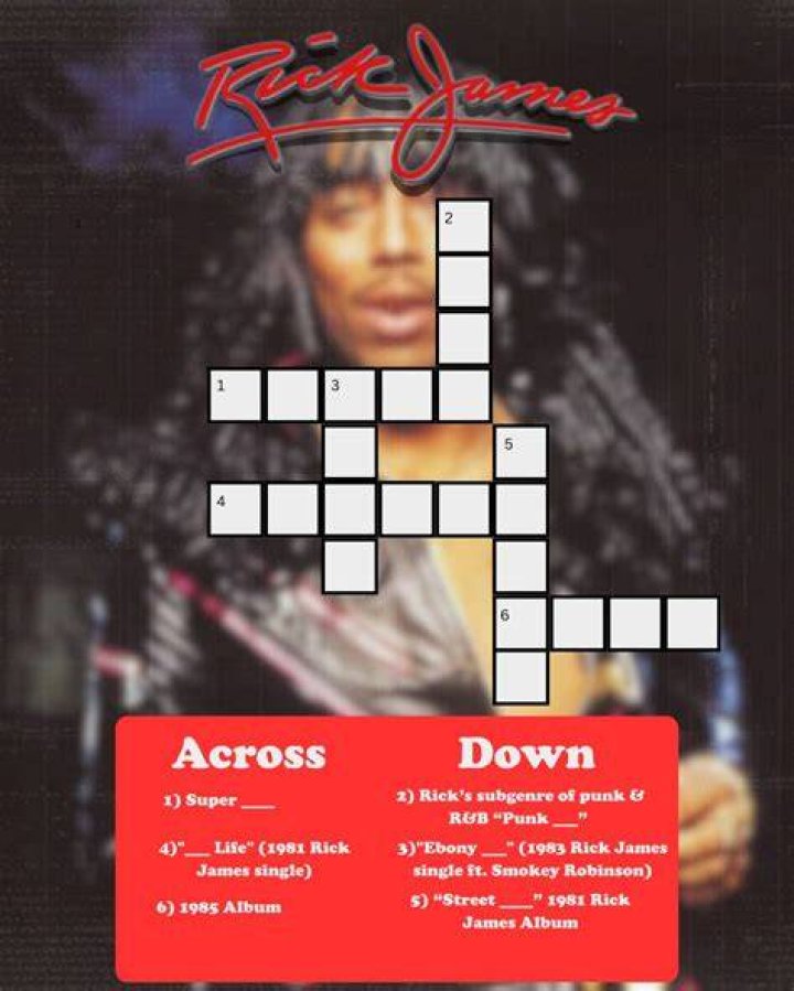 “___ Life” (1981 Rick James single) Crossword Clue