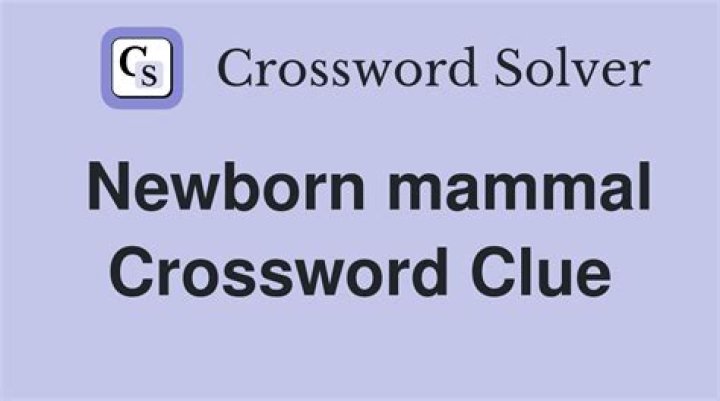 Like a newborn babe Crossword Clue