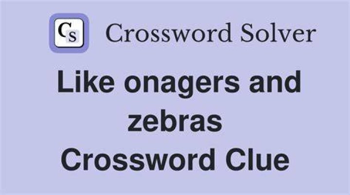 Like zebras and lions Crossword Clue