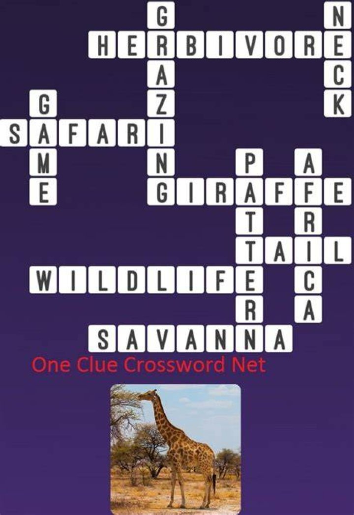 Long part of a giraffe Crossword Clue
