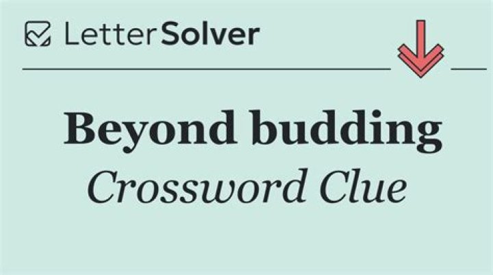 Looked beyond Crossword Clue
