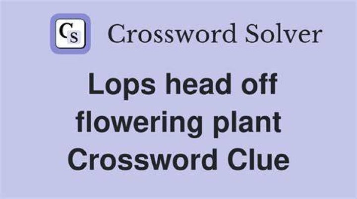 Lops off Crossword Clue