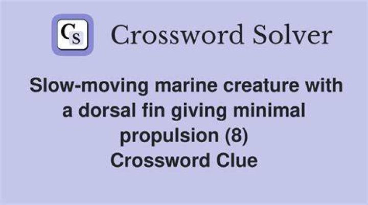 Marine swimmer with a tall dorsal fin Crossword Clue