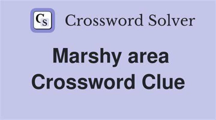 Marshy area Crossword Clue