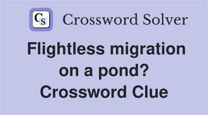 Migration formation Crossword Clue