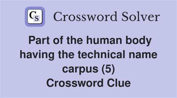 Name that’s a body part in reverse Crossword Clue