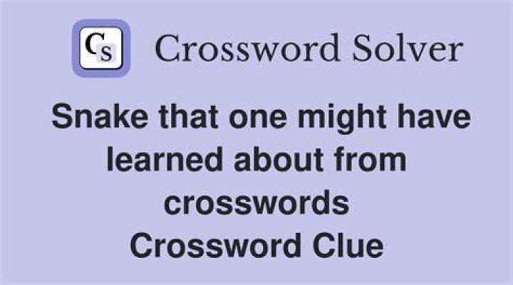 One might have a bunch of errands Crossword Clue
